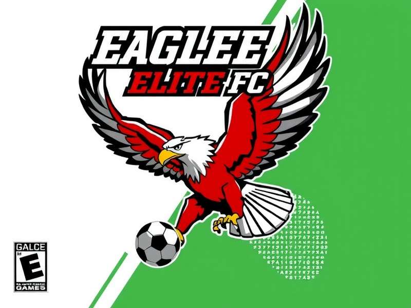Eagle Elite FC Game Cover